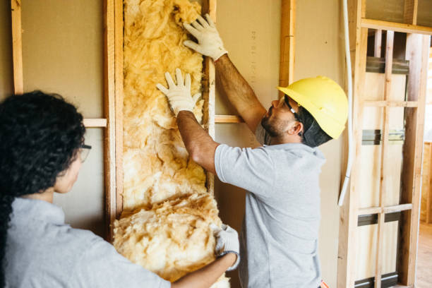 Best Spray Foam Insulation  in Moline, IL