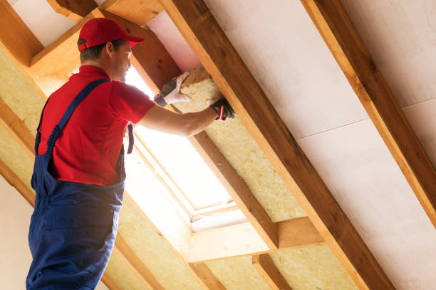 Best Attic Insulation Installation  in Moline, IL